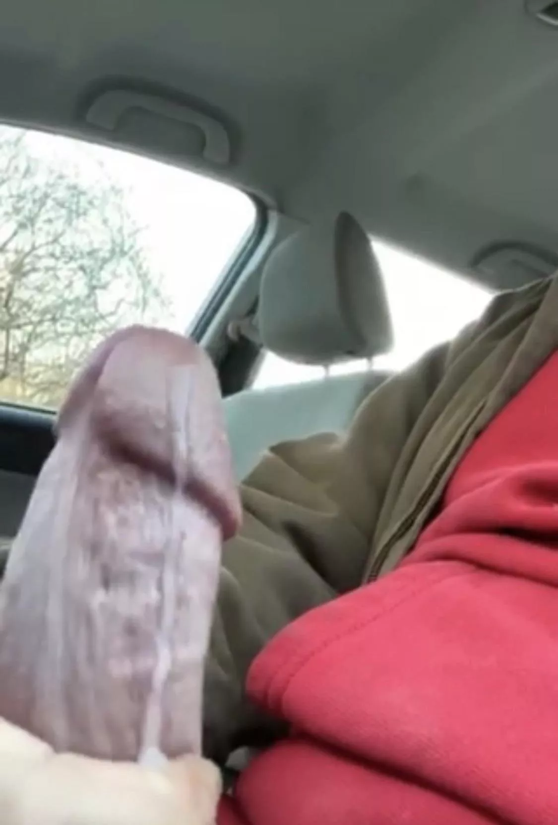 Cum and clean my car