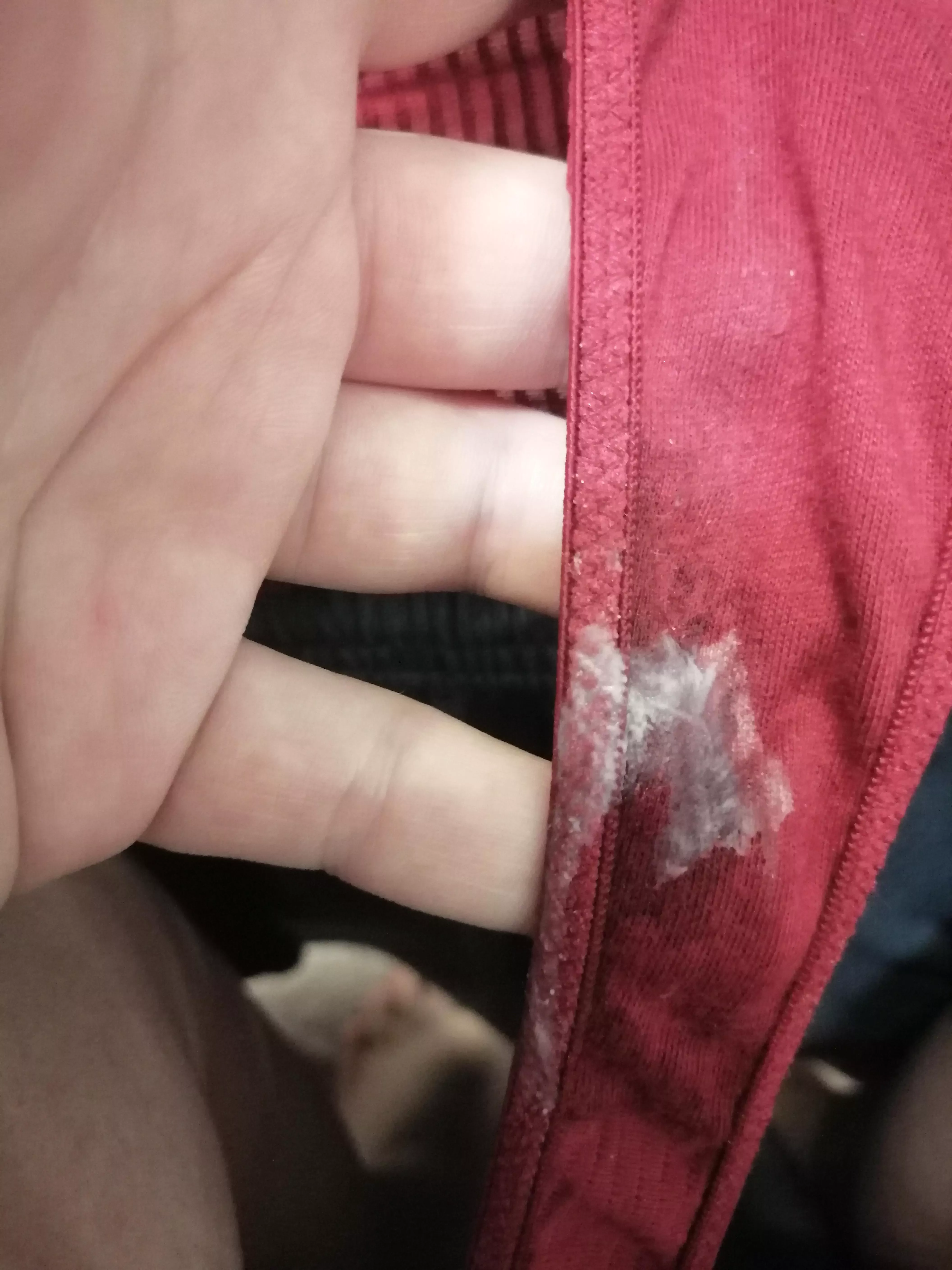 cum on my panties cum on my panties