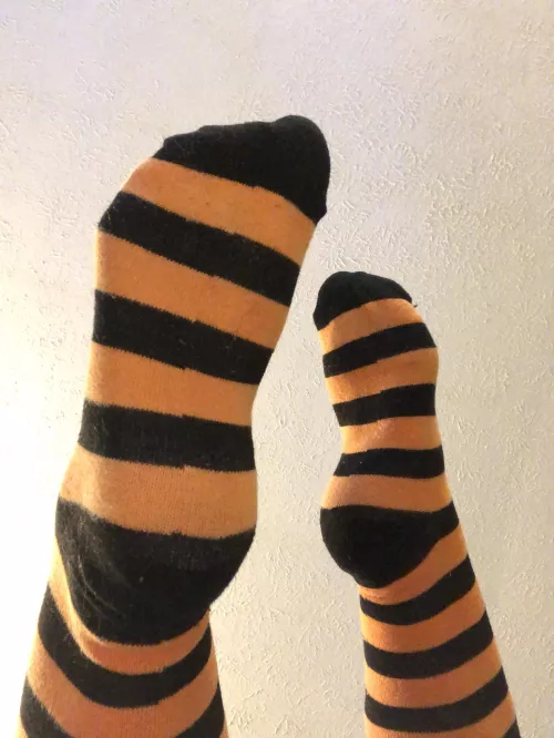 Cum on over and smellโฆ