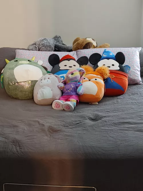 Cupcake put out her stuffies. Where am I supposed to sleep.