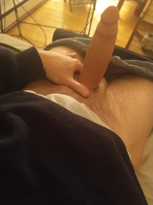 Curious about your opinions