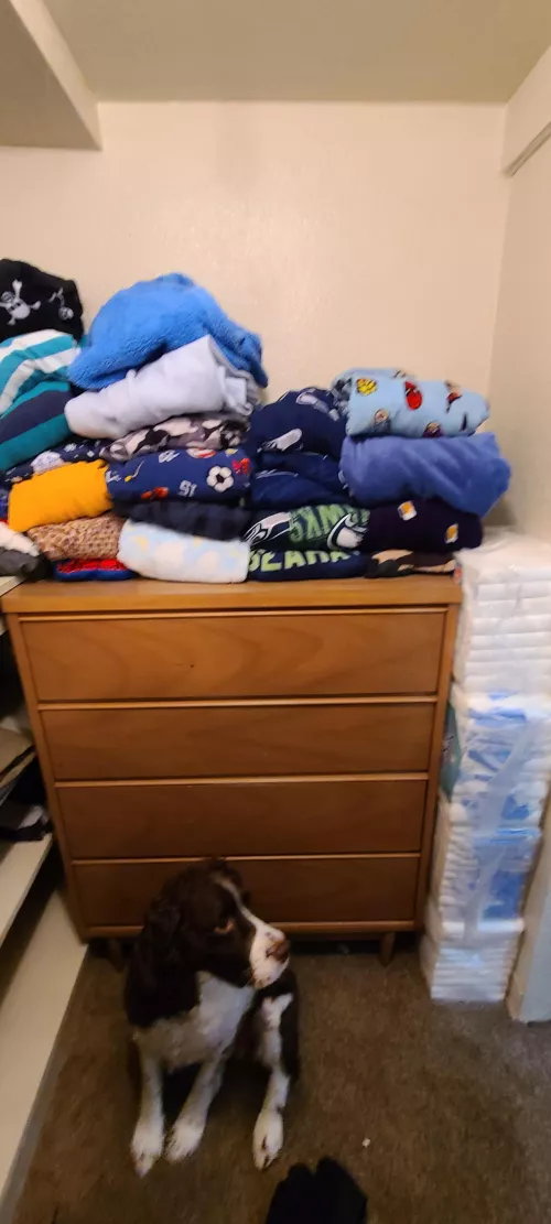 Current stash and pajama collection. Bonus pupper too