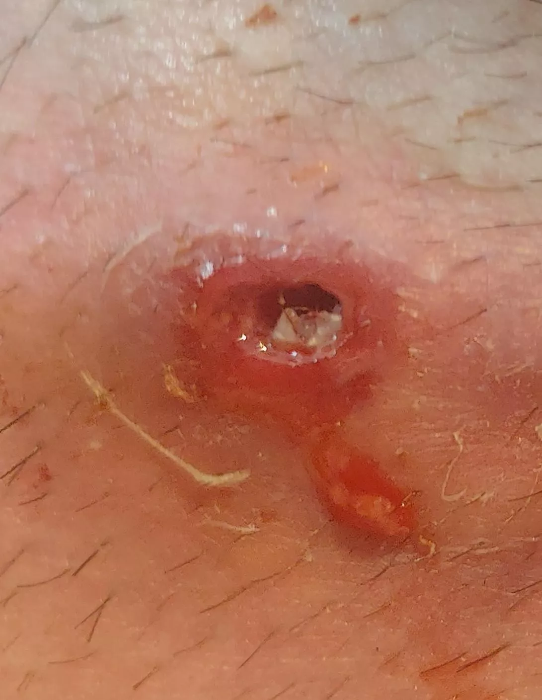 Cust from earlier post came from here