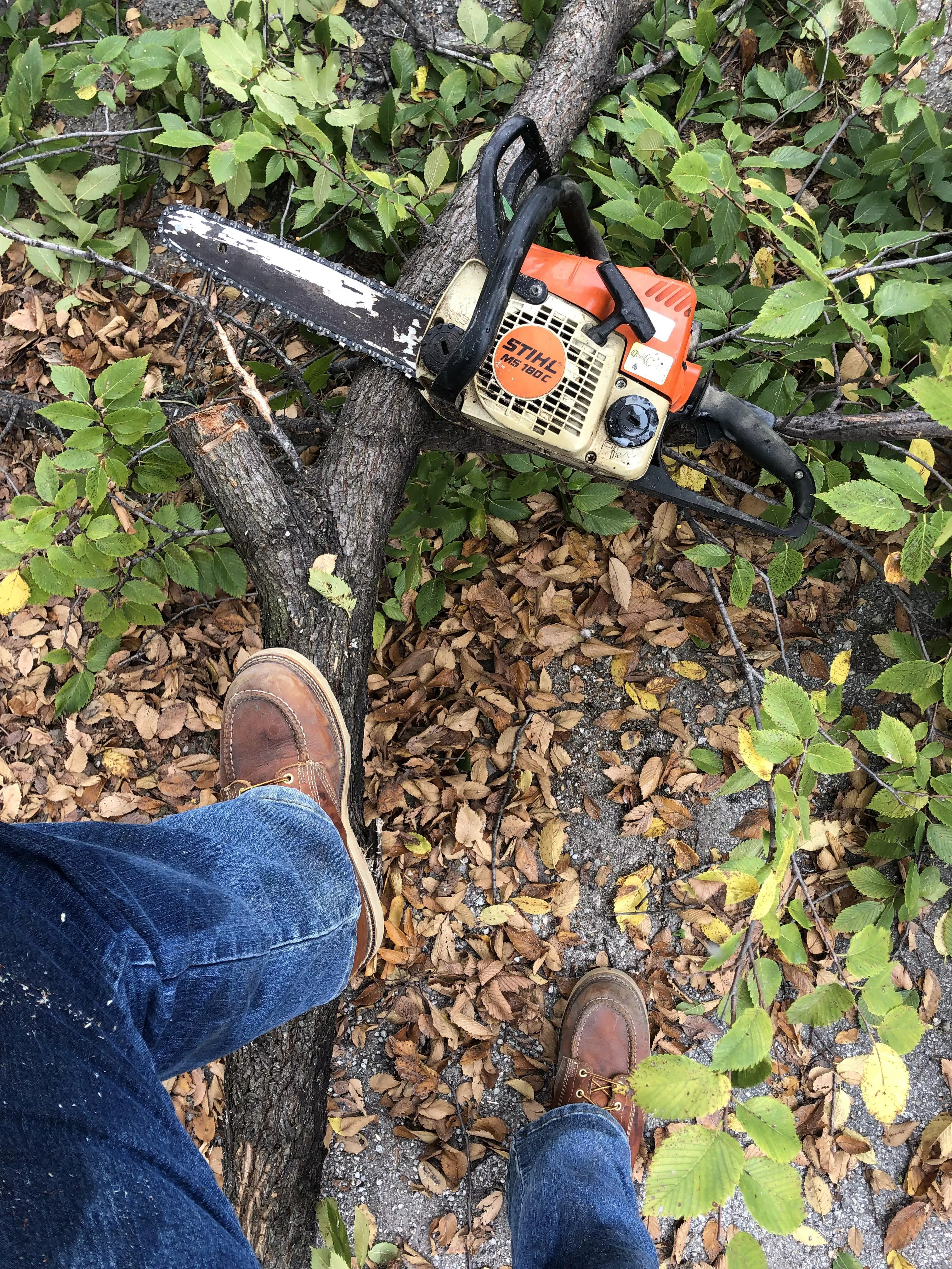 Cut down some tree limbs for a client. Thorogood’s and Stihl are always up to the task.
