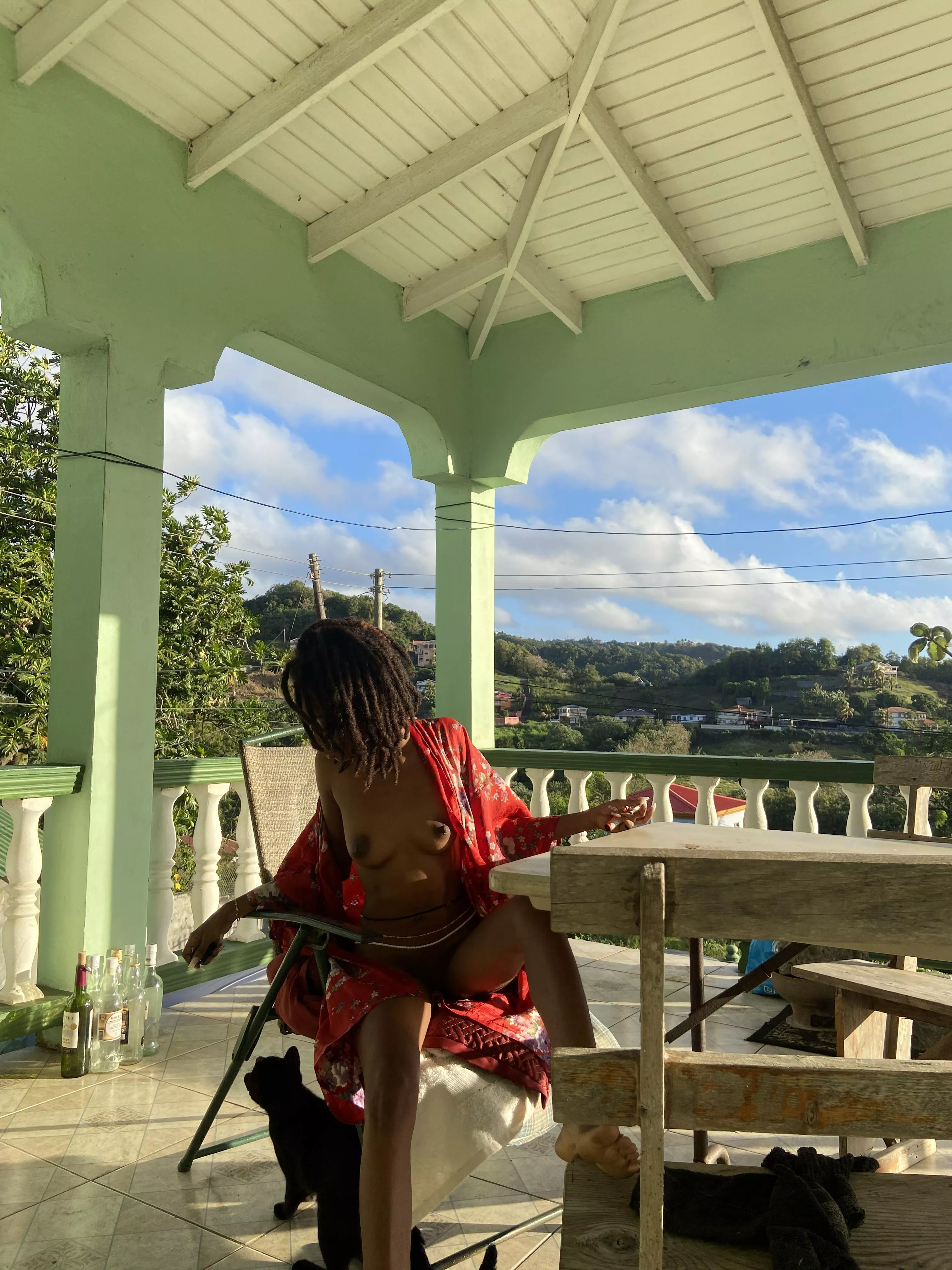 Cute kitties and morning views