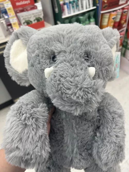 Daddi let me get a stuffy since I got my Covid shot. I need name suggestions!