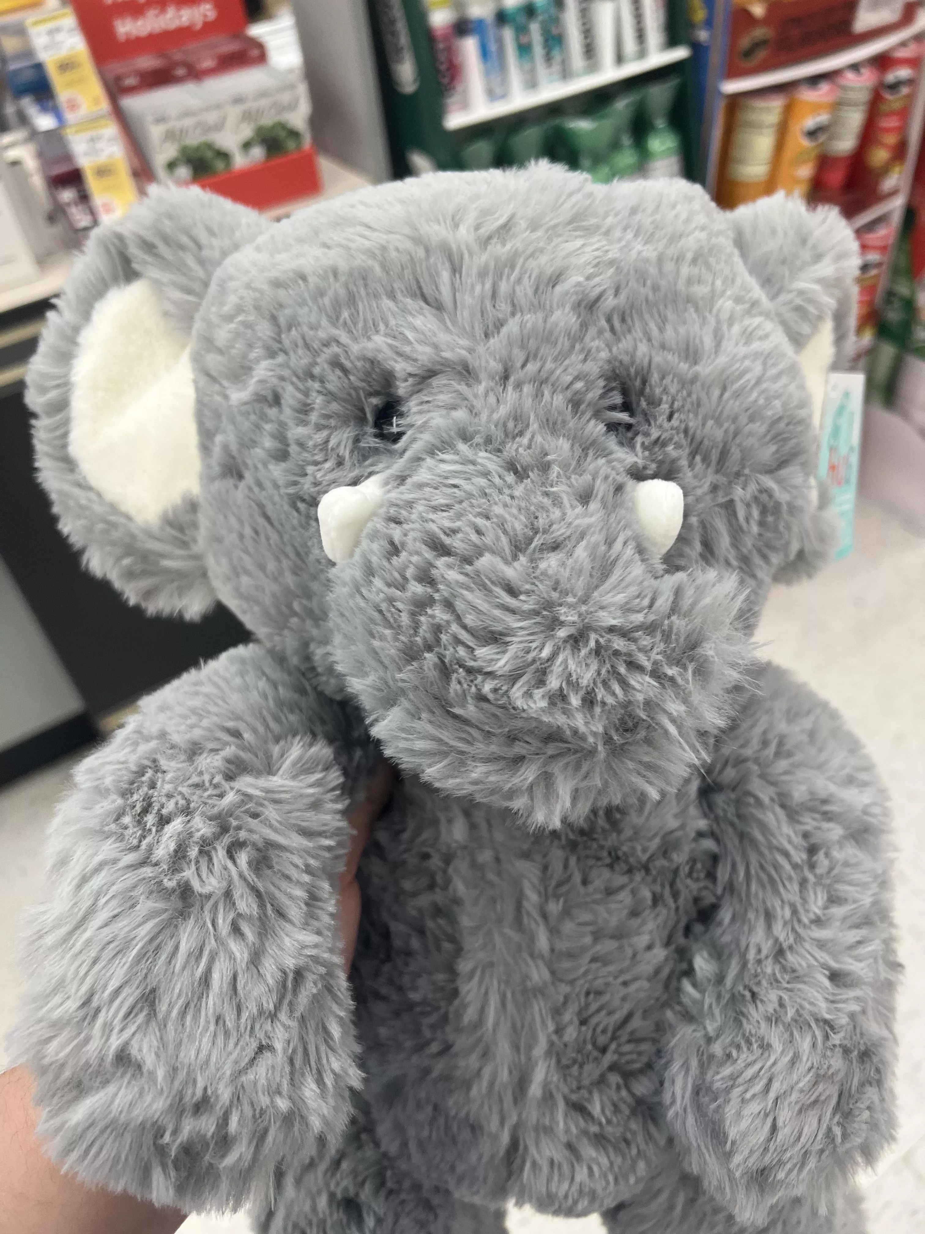 Daddi let me get a stuffy since I got my Covid shot. I need name suggestions!