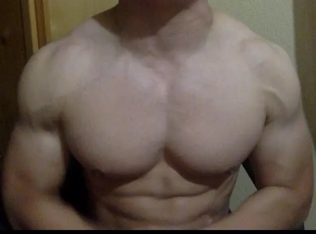 Daddy Dom/Breeder Bull