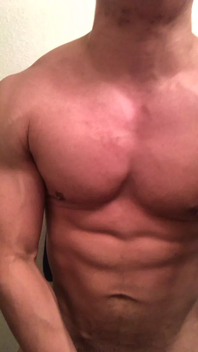 Daddy Dom/Breeder Bull