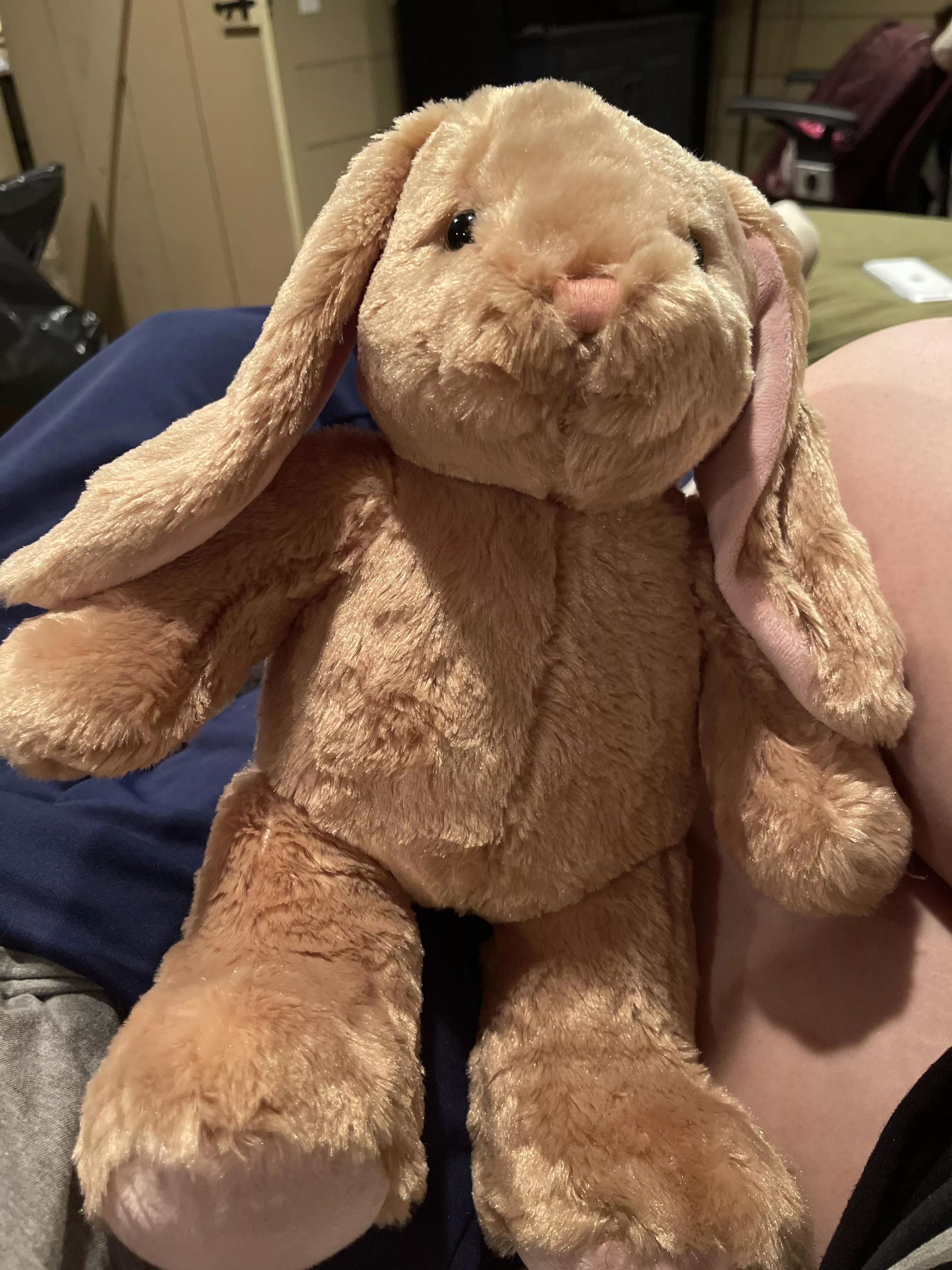 Daddy took me to build a bear today 🧸💕