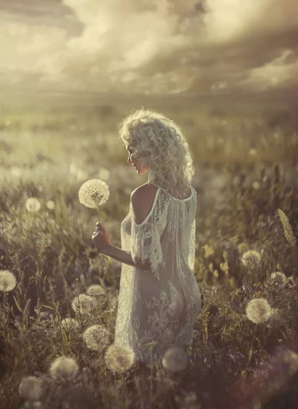 dandelions warm moments...