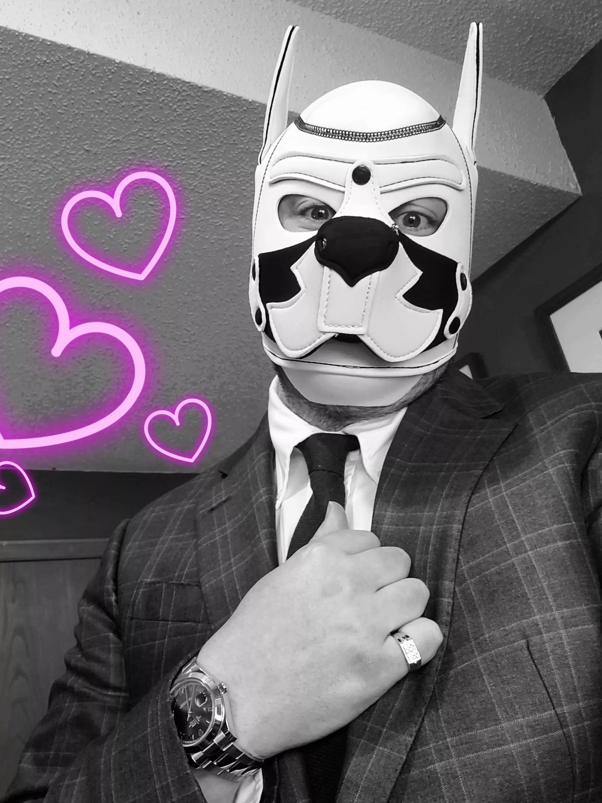 Dapper pupper getting off the beat 😉 WOOFFFF! Pets, anyone?