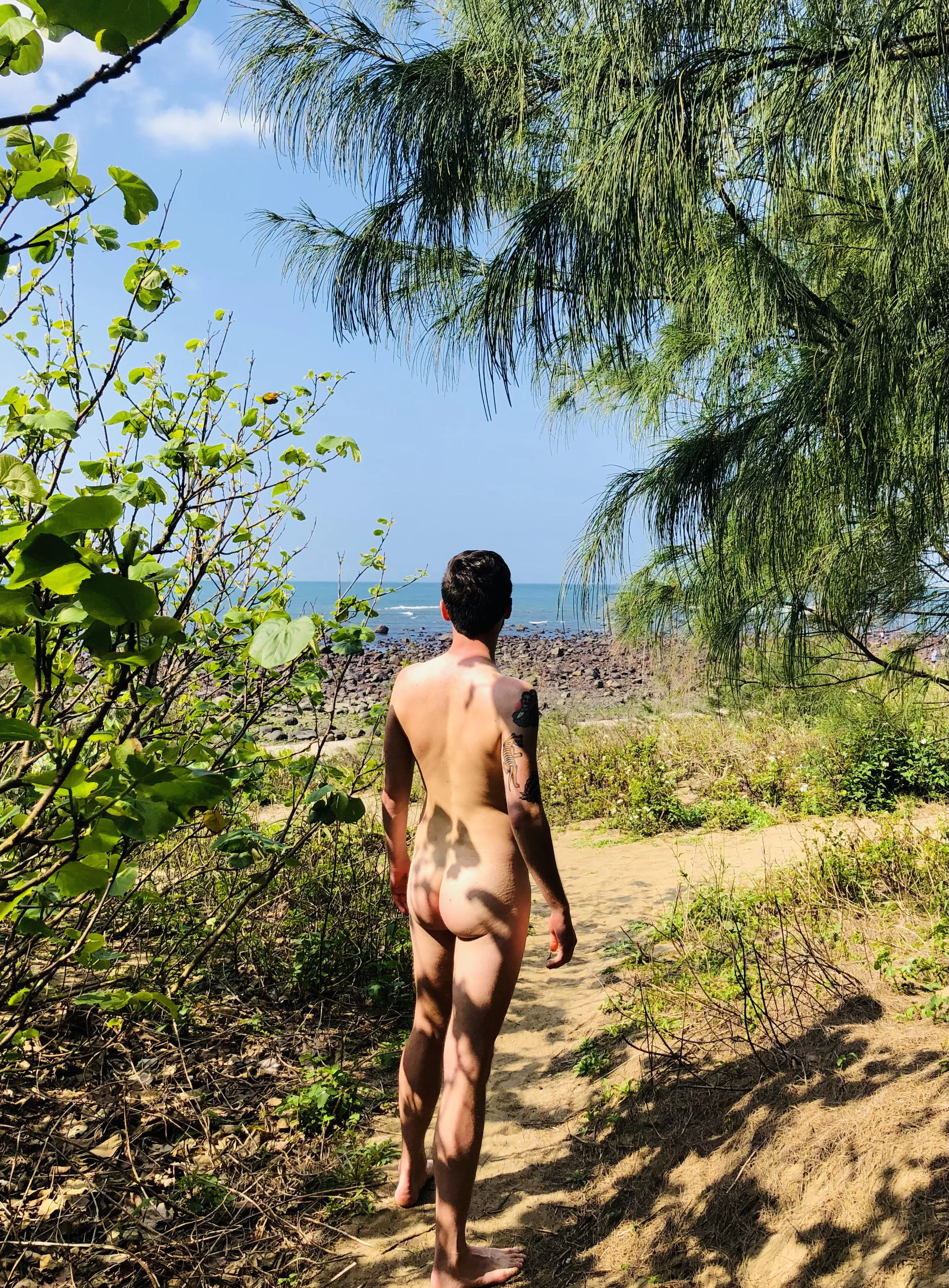 Dappled in the dunes