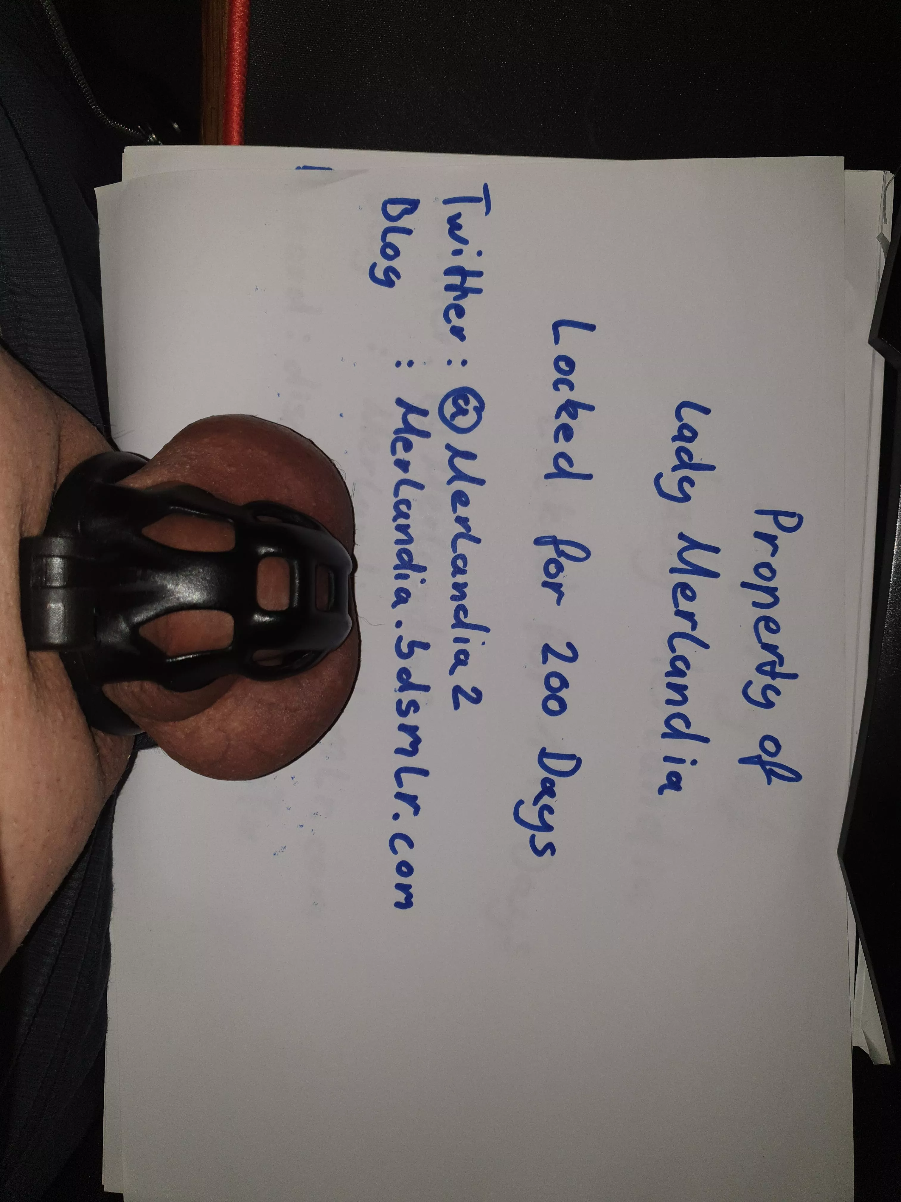 Day 200 of ??? And Lady Merlandia is looking for New slaves