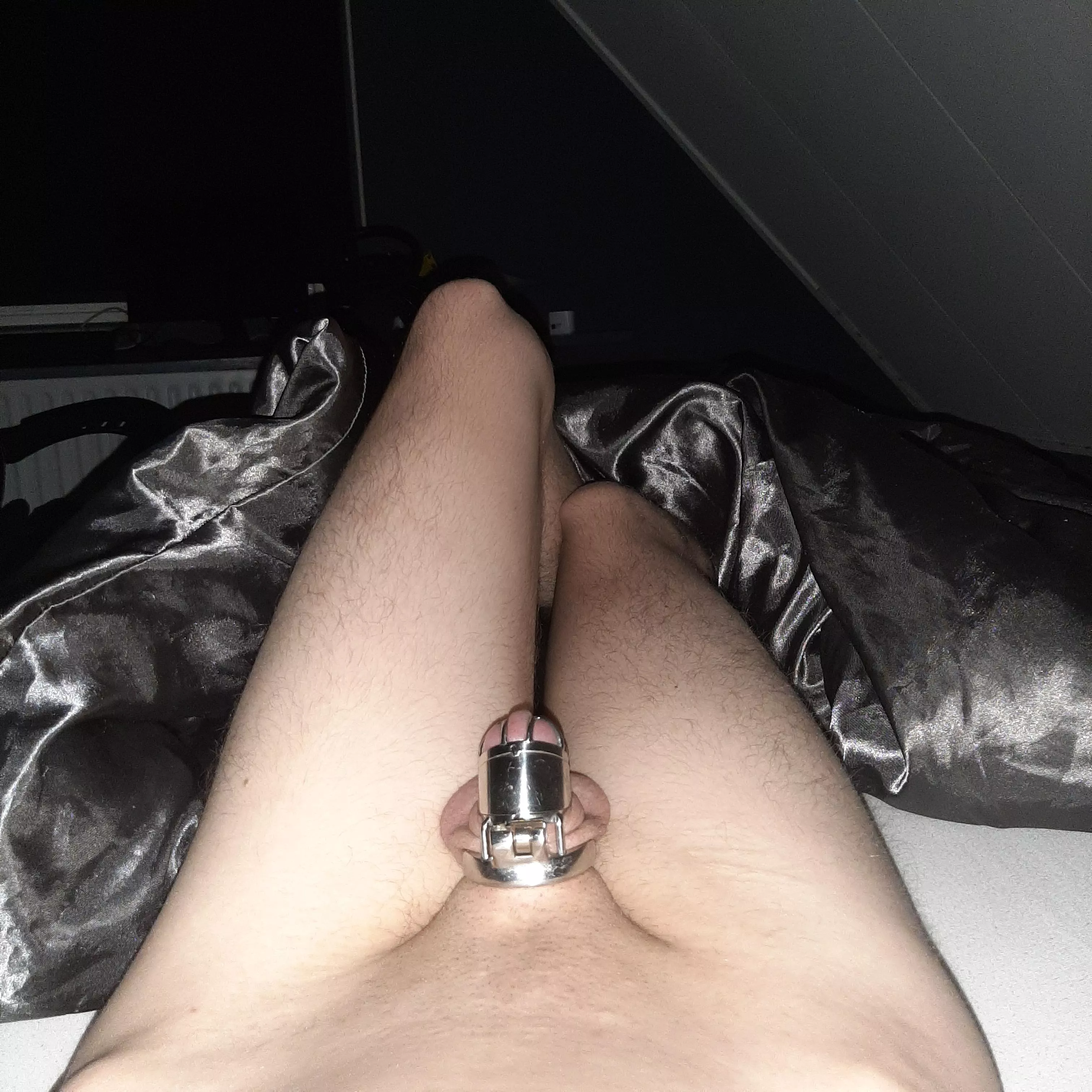 Day 3 with the new cage it's a bit too big so have to get a smaller one very soon