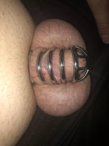 Day 4. Tied my record, feeling very submissive and horny. I barely notice wearing the cage anymore. It’s getting scary that I can actually do this long term.