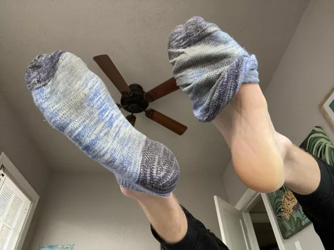 Day 5 of 5 for a lucky boy. Ready to move onto the next pair 😈