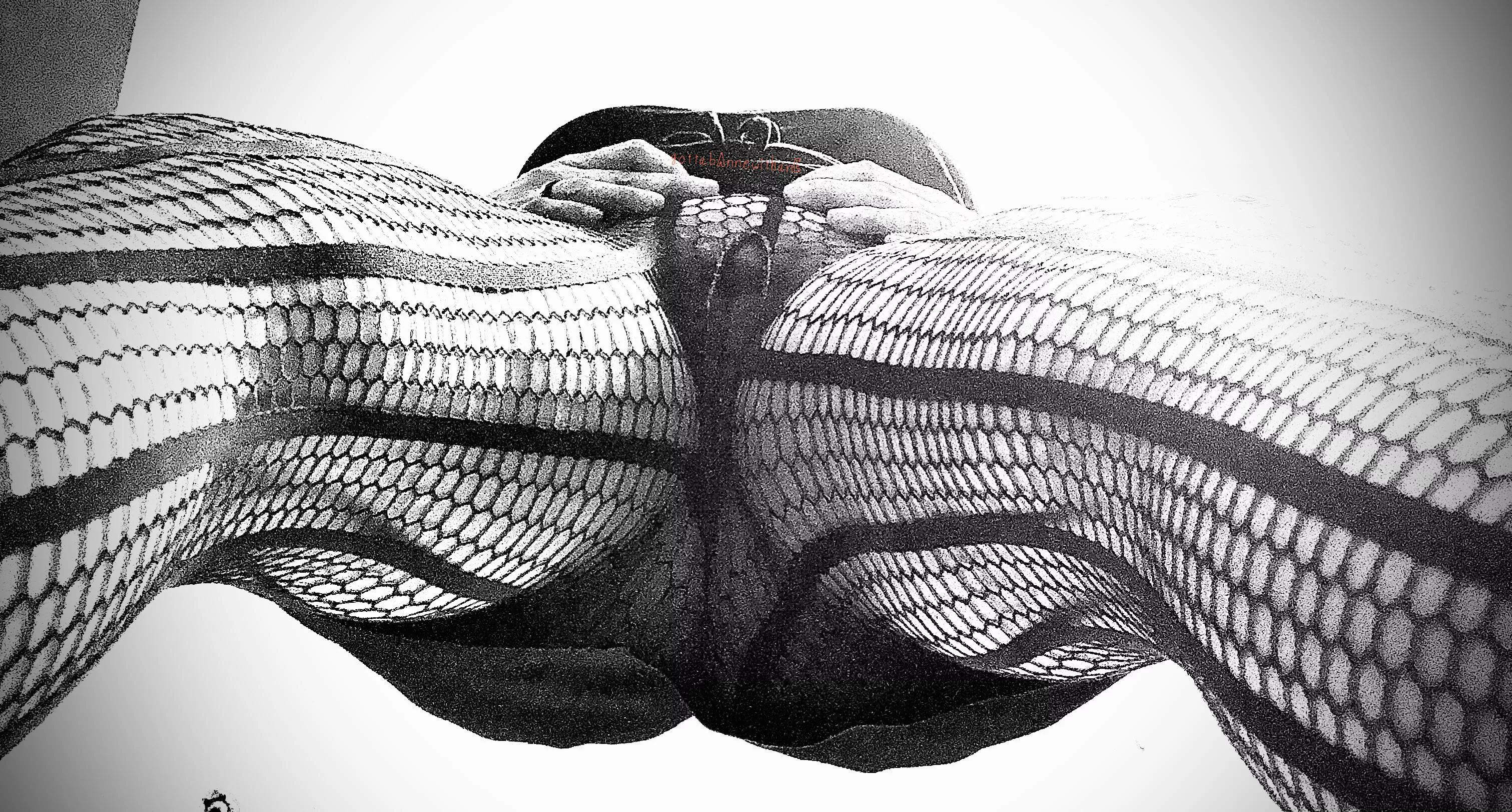 Day 5: Things are looking up…it’s Friday!