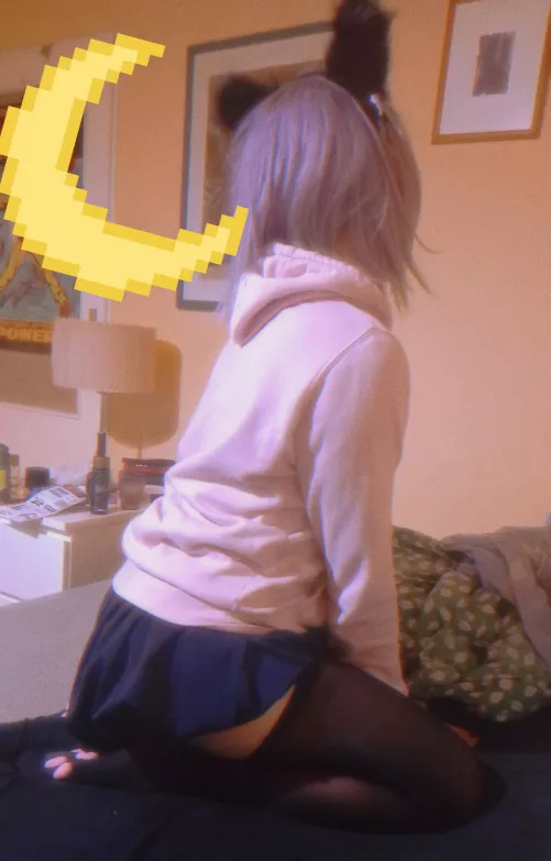 D-does anyone want to pet me? :3