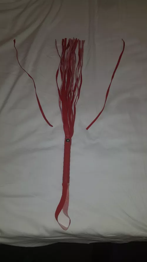 Decided to find out which broke first. My whip or my slut. Looks like I need to find a stronger whip for next time