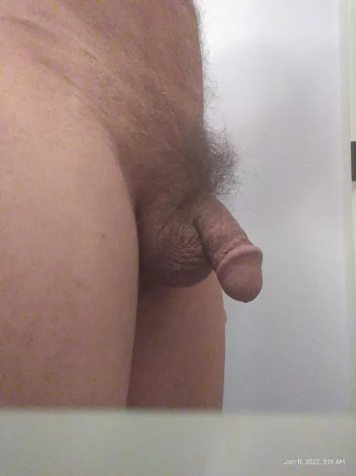 Decided to trim my shaft and balls, whatcha think?(m)(65)