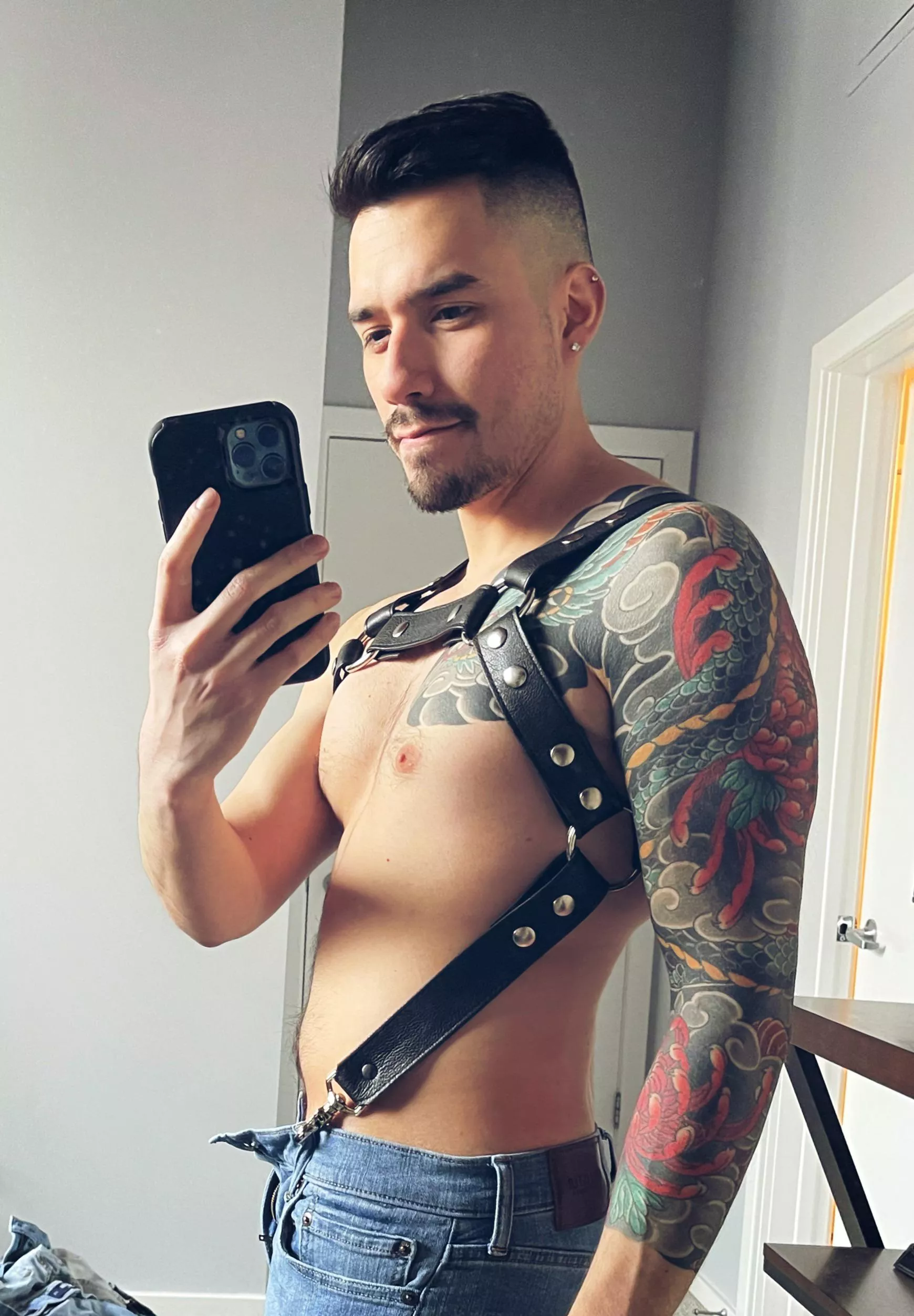 Definetly shouldn’t be buying new harnesses in my current financial state…but here we are Definetly shouldn’t be buying new harnesses in my current financial state…but here we are