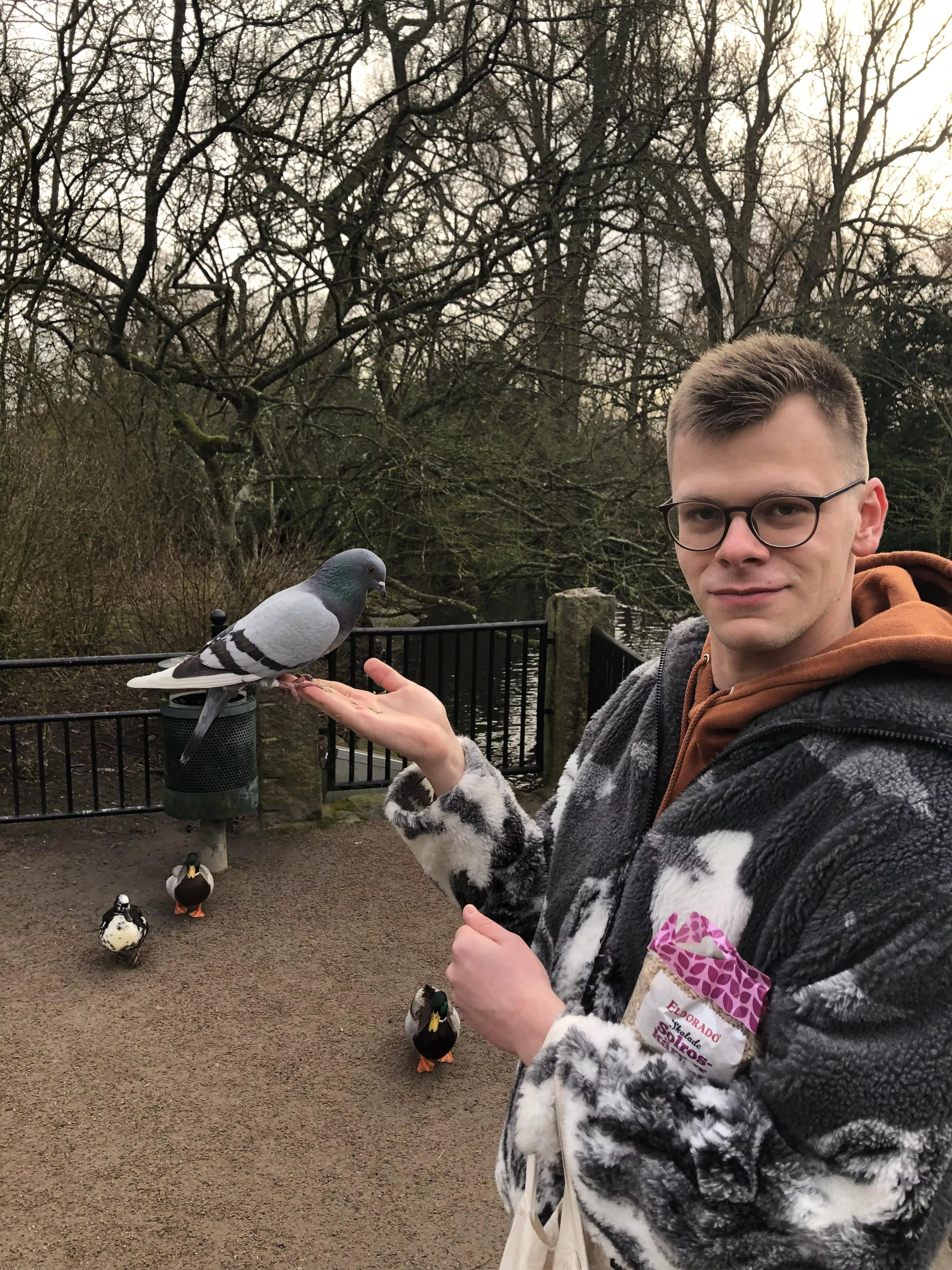 Destress - Commune With Birds