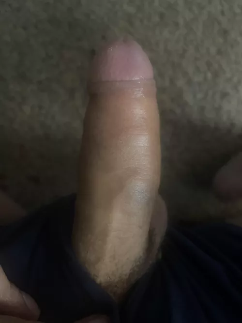 Dicks for you and please let me know what you think 💭