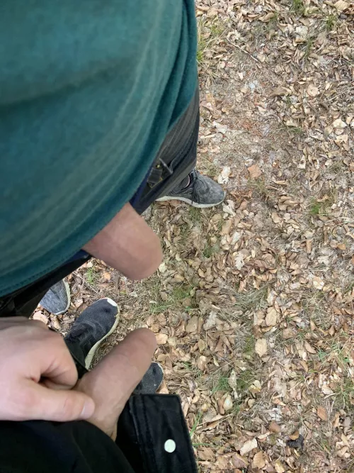 Dicks out in the park. Would u suck us?