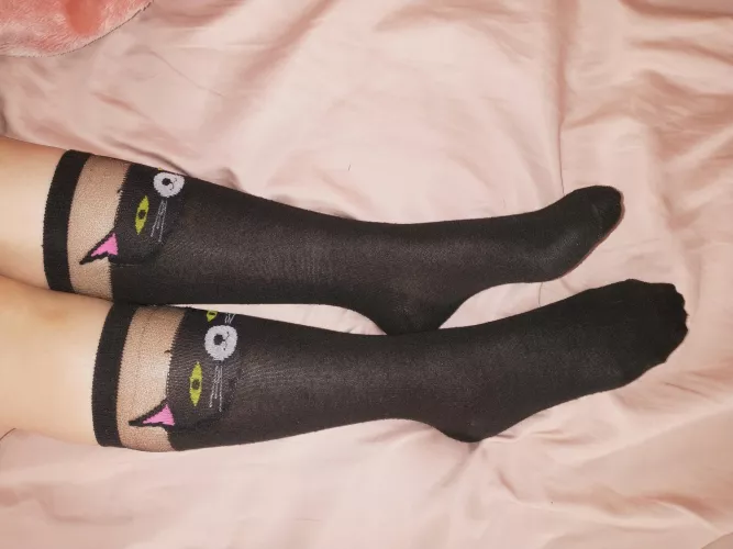 Did I cat šŗ your attention? Happy Halloween!