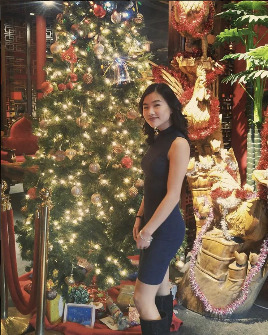 did you get what you wanted for christmas?