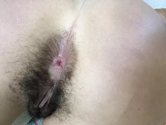 Did you miss this hairy asshole of mine???