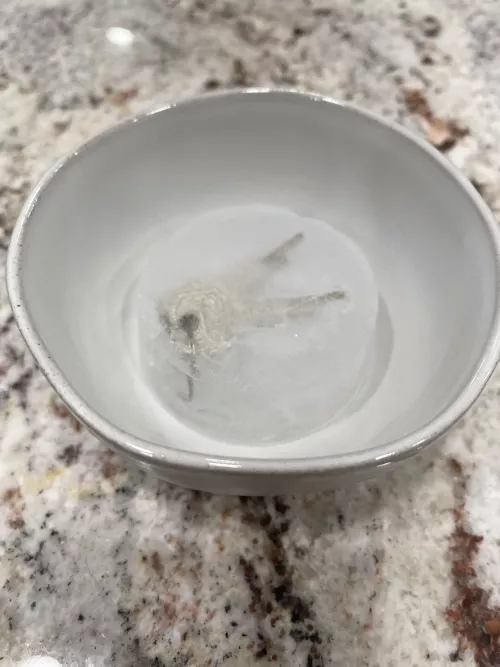 Didn’t have a lock box or numbered seals on me, went the 🧊 route