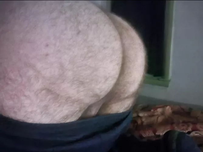 Didn't realize how hairy I've gotten. Any takers?