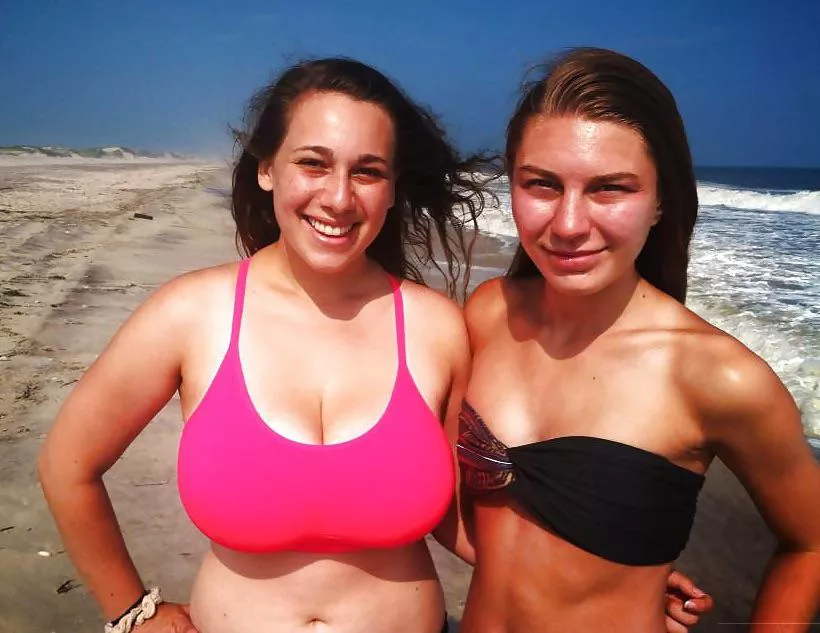 Different species on the same beach.