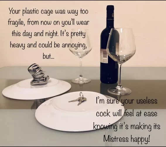 Dinner is ready! Hope you enjoy your first and only dish of the night. 🔐