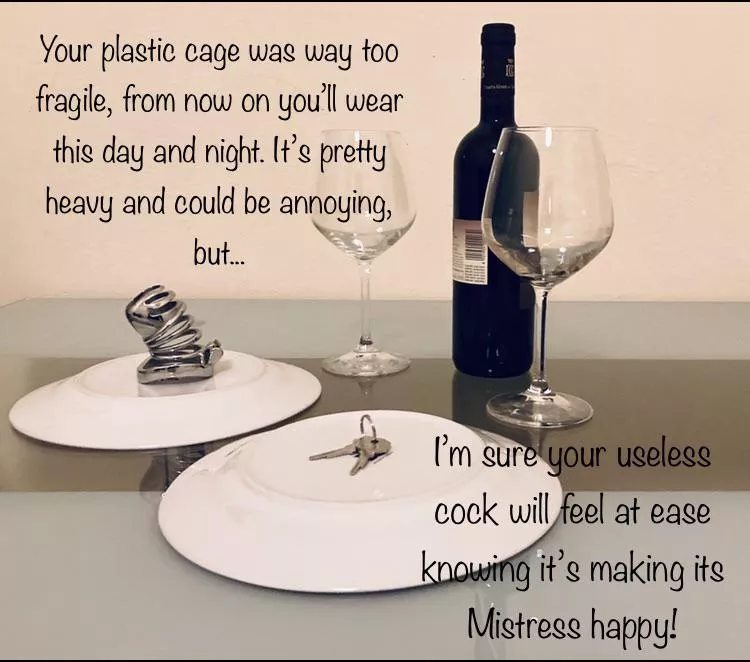 Dinner is ready! Hope you enjoy your first and only dish of the night. 🔐