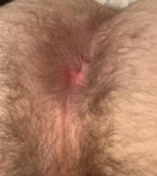 dinner's served, eat up!