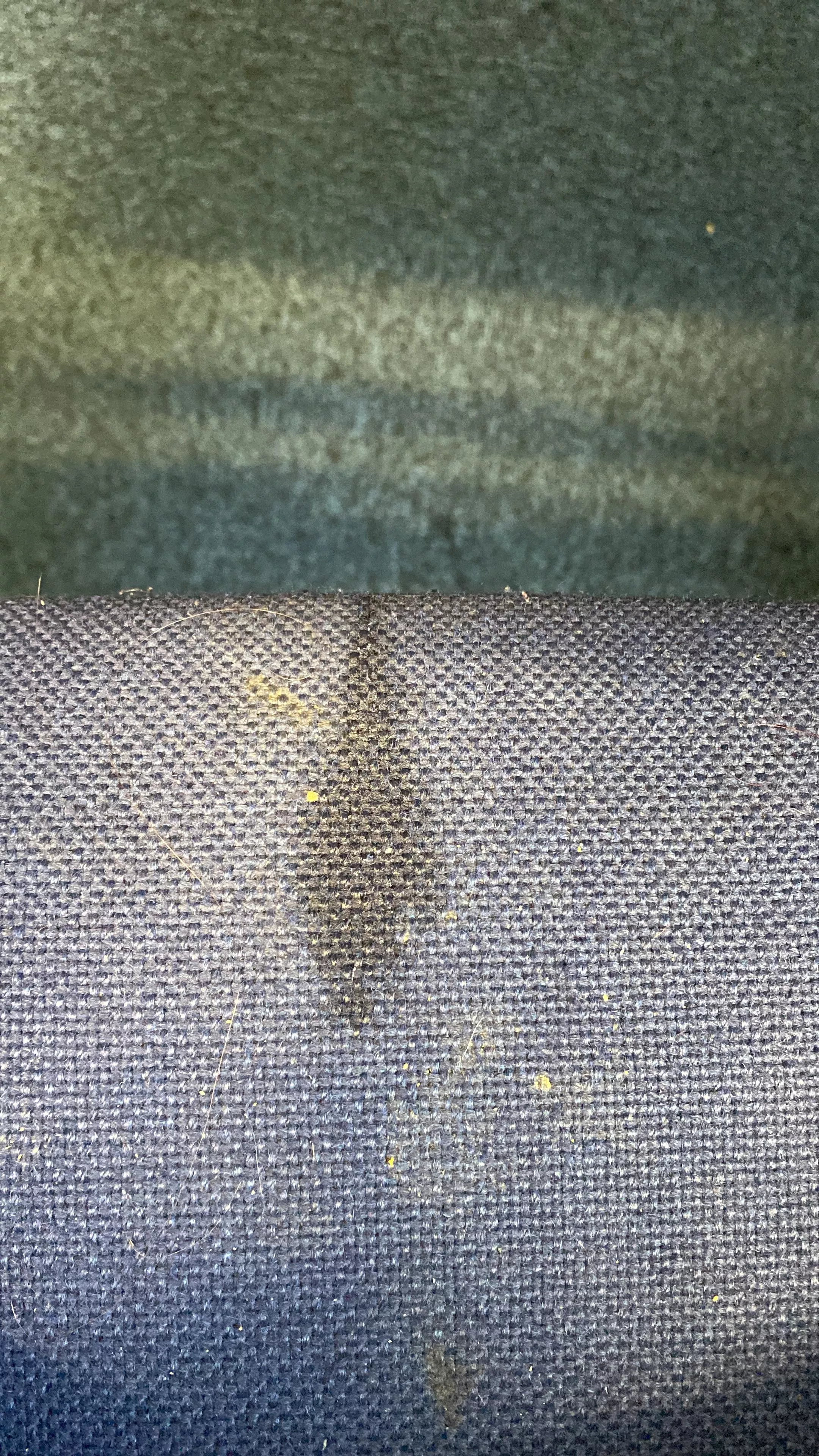 Dirty slag pissed on the office chair. Some went on the floor. Hahahaha.