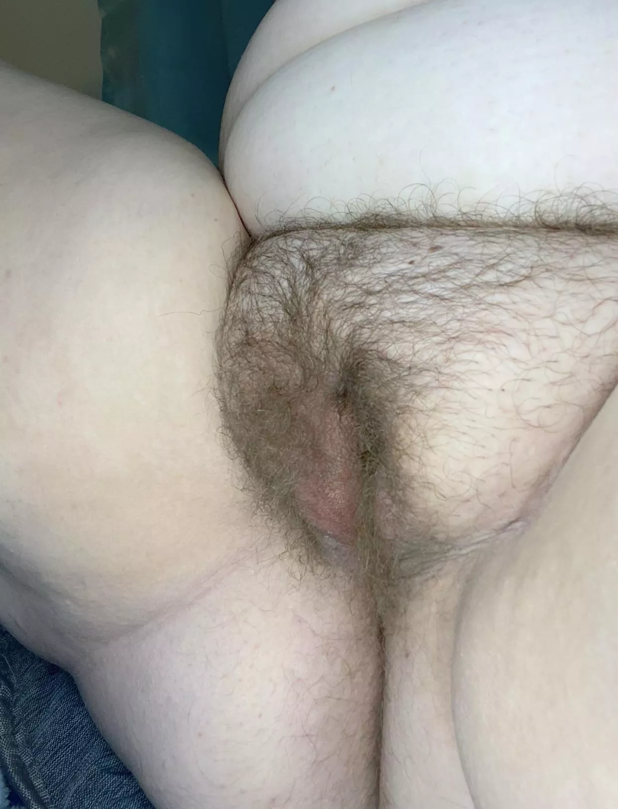 Dive in to my fat hairy pussy