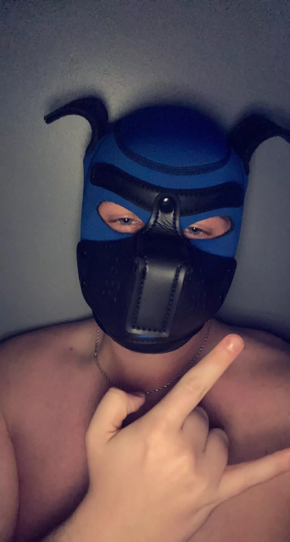 DL Bi Closeted College Bro. Just learned about this not long ago, and I got my hood yesterday. Looking for friends/mentors, DM me if you’re interested in this Jock Pup