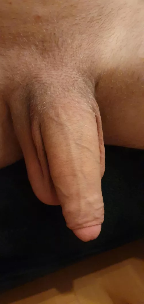 Dm me if u want to see my hard cock