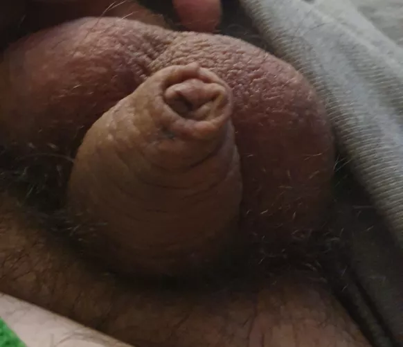 DMs open as always
