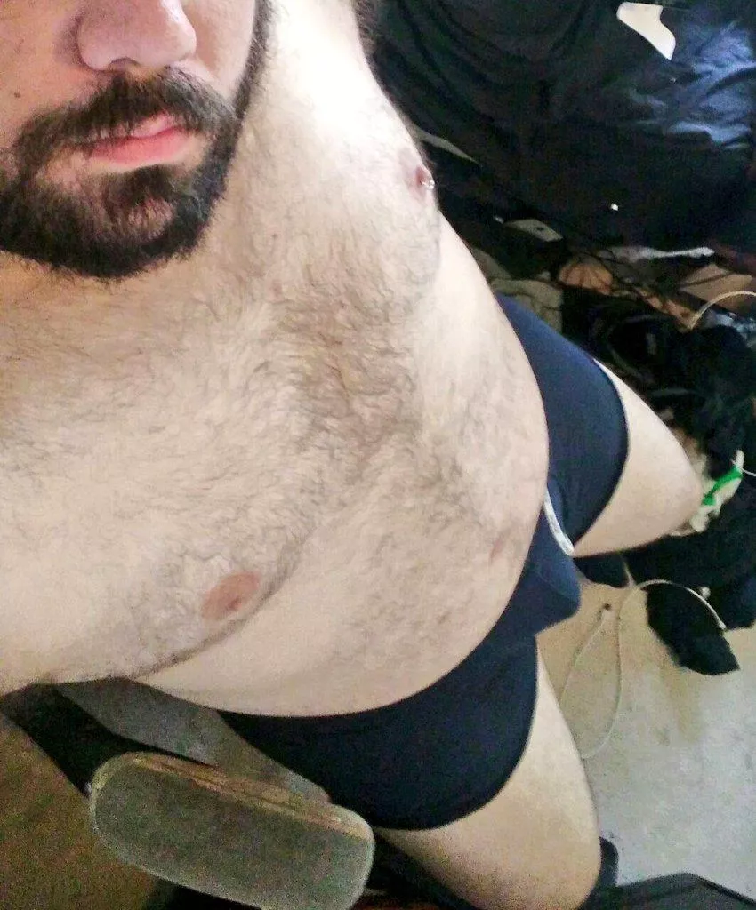 Do I count as a bear?