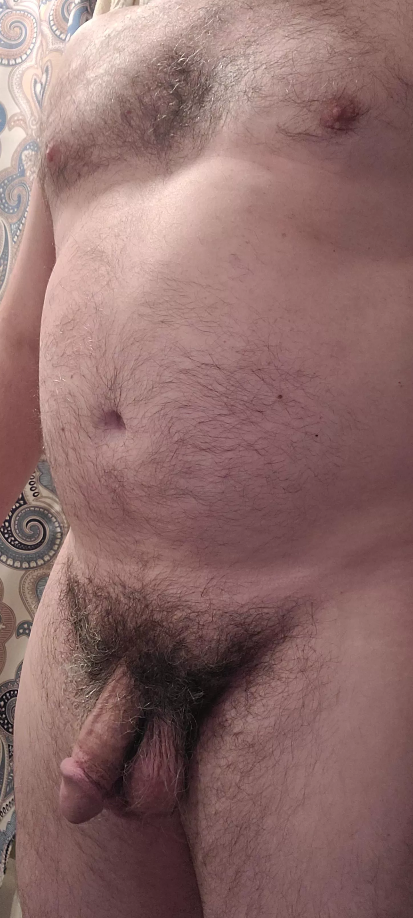 Do I count as a bear?[42]