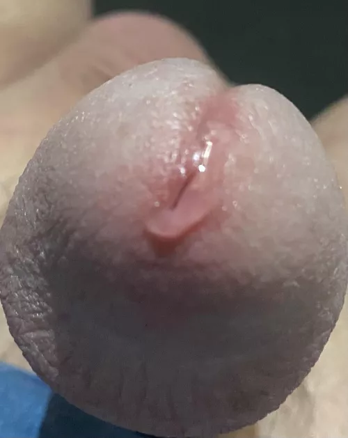 Do you like a close up? If so feel free to take a taste.