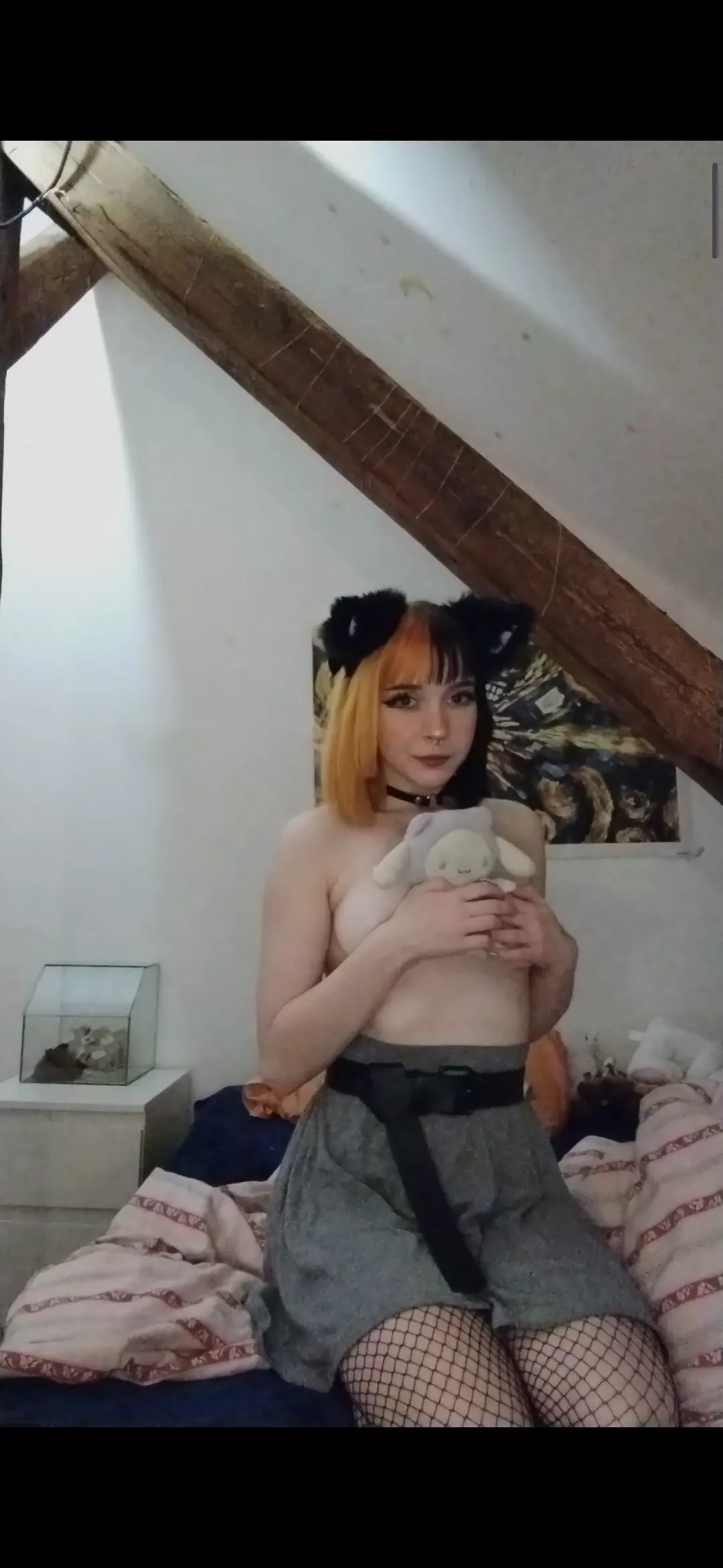 Do you like cat girls? 💕