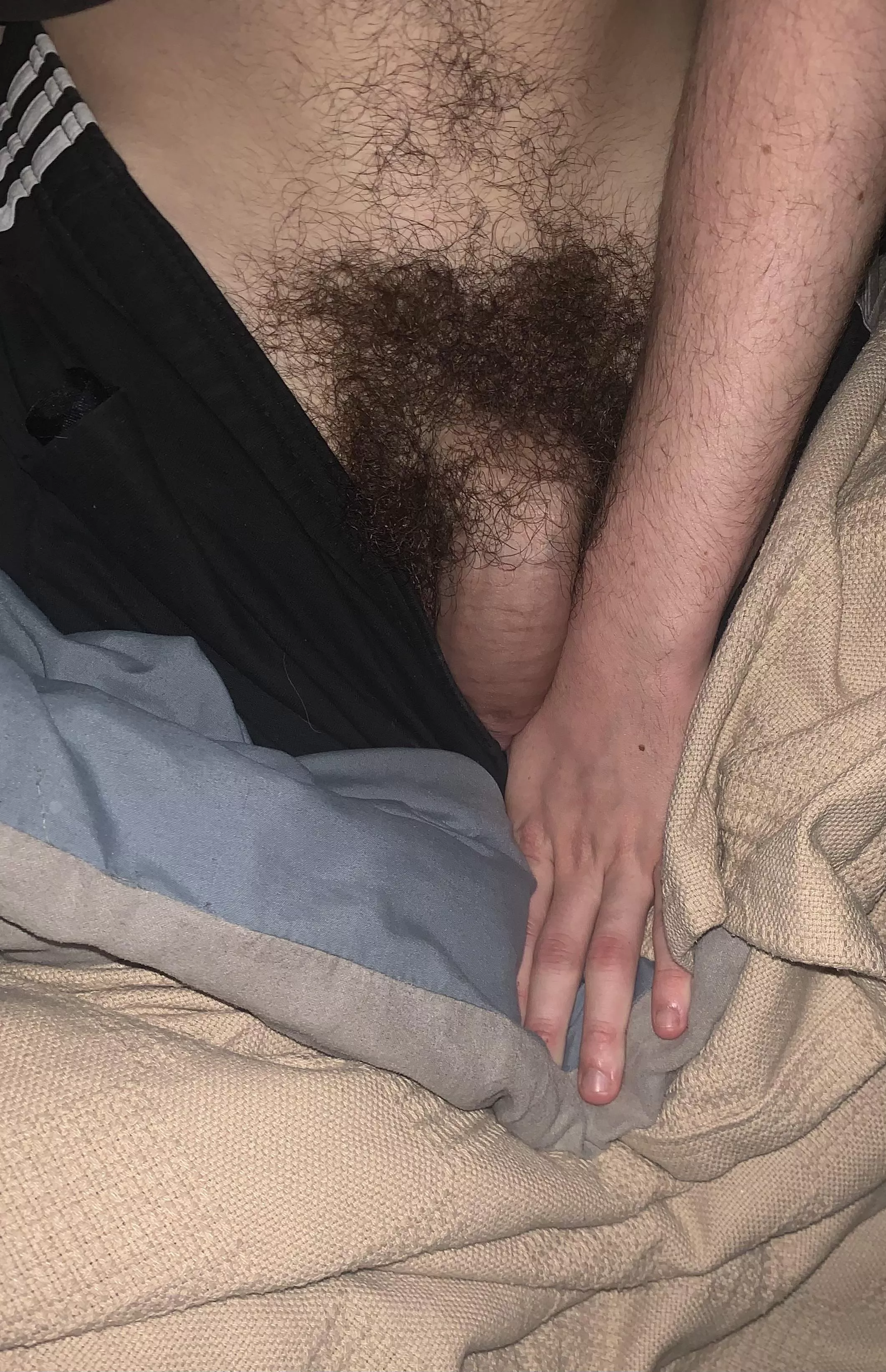 Do you like hairy cock?