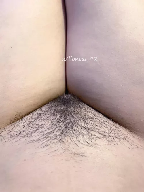 Do you like it neat or bushy? 🙄