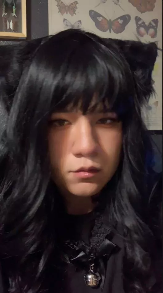 Do you like mixed tgirls?